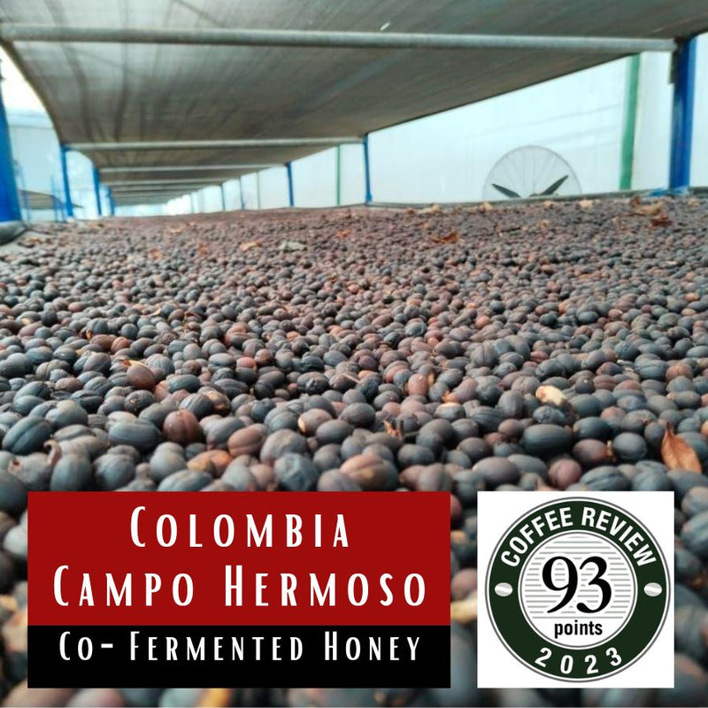 Colombia Campo Hermoso Co-Fermented Honey