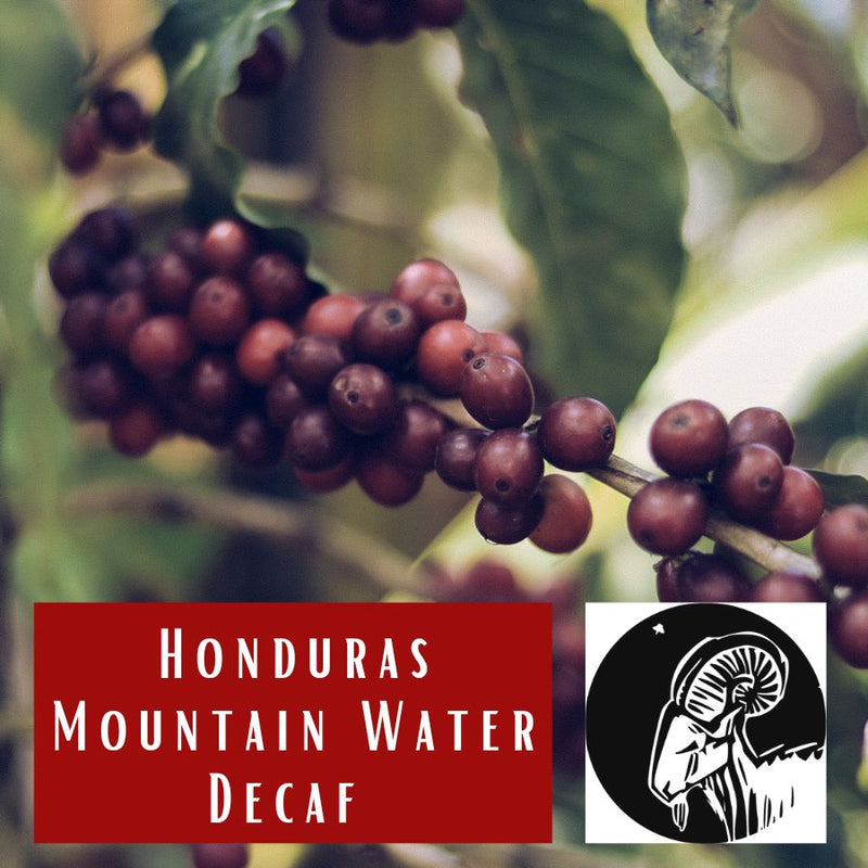 Honduras Mountain Water Decaf