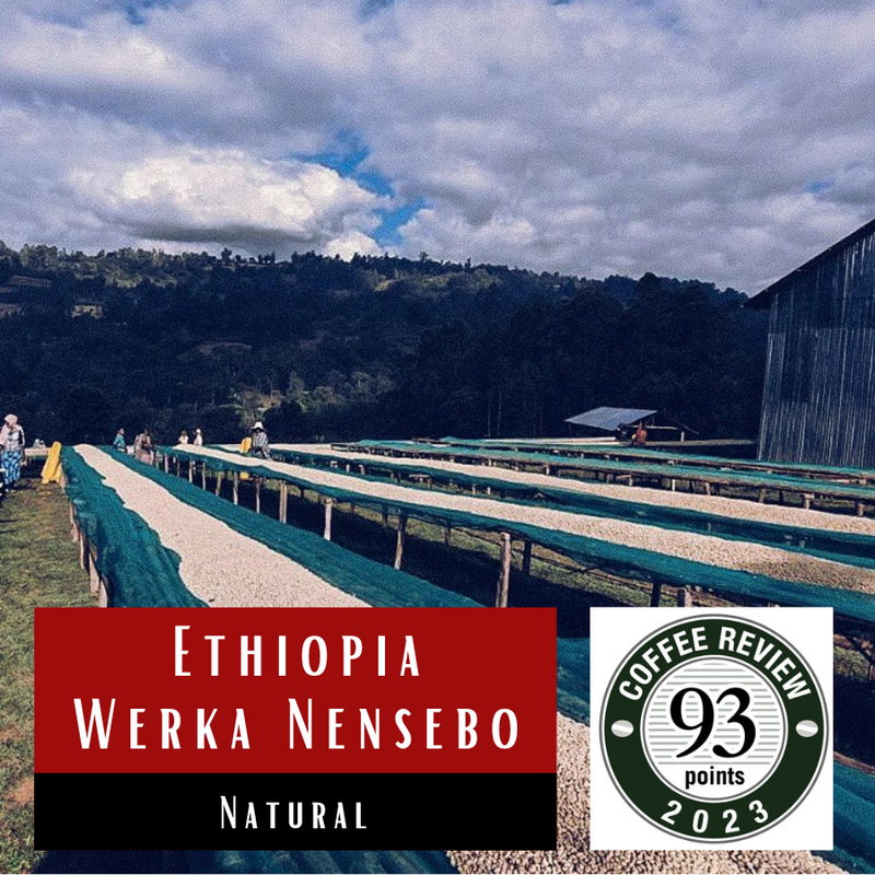 Ethiopia Werka Nensebo Natural