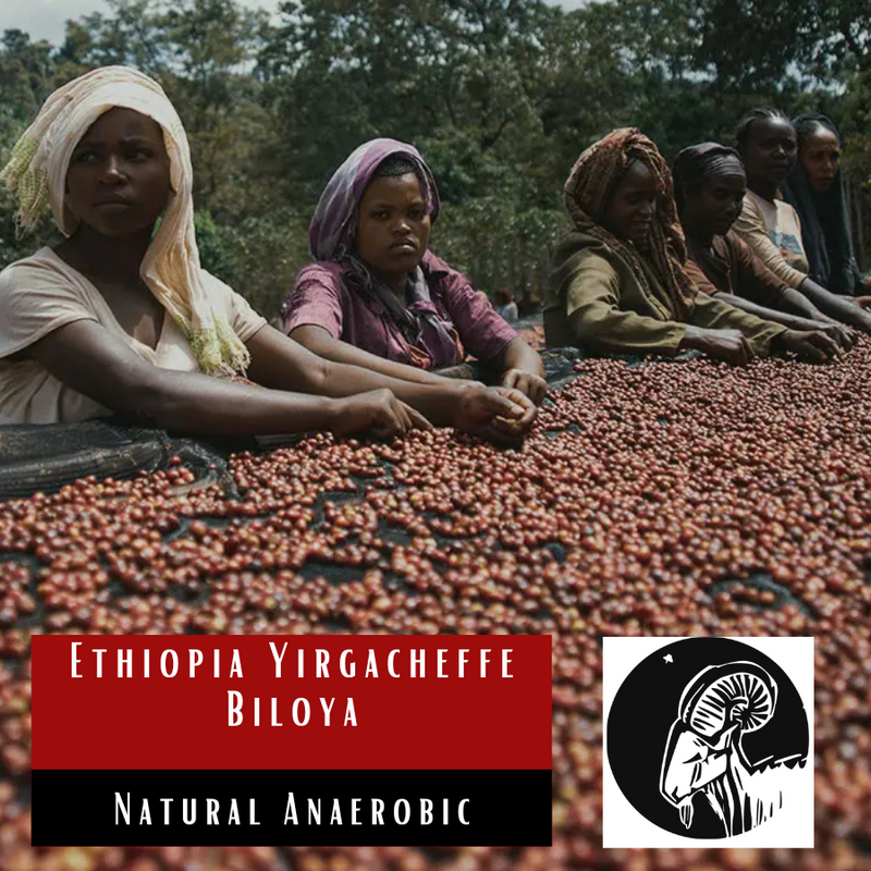 Ethiopia Yirgacheffe Biloya Anaerobic Natural