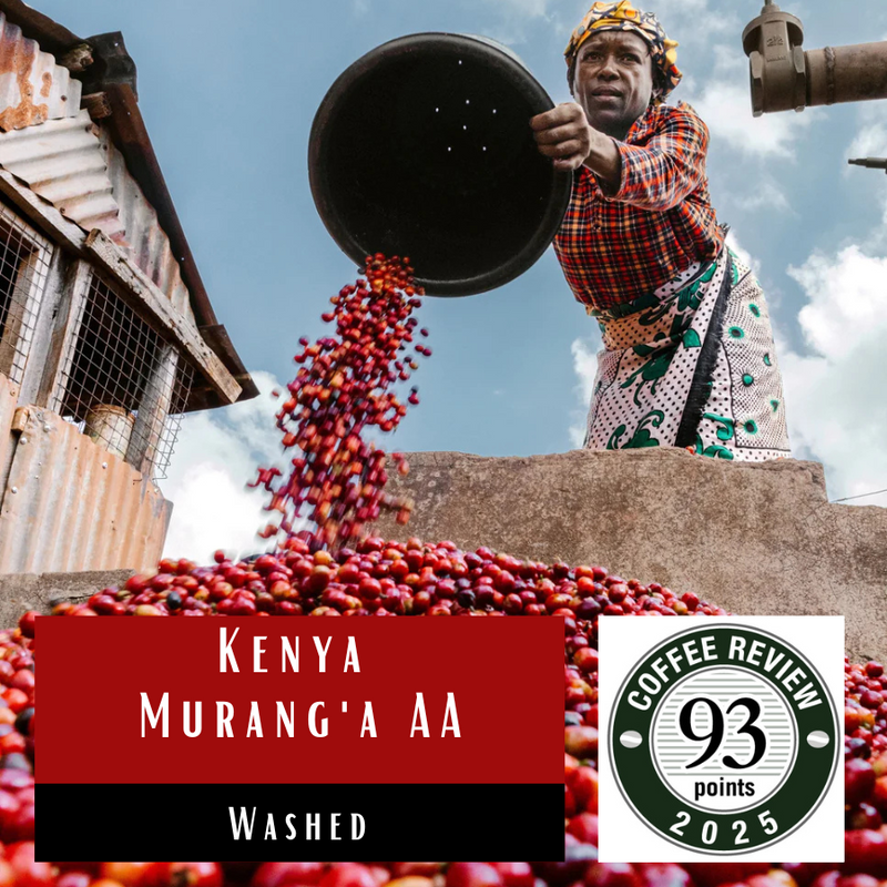 Kenya Murang'a AA