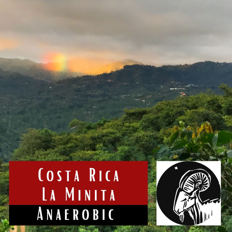 Costa Rica Anaerobic Natural