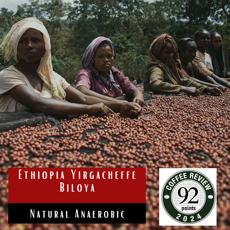 Ethiopia Yirgacheffe Biloya Anaerobic Natural