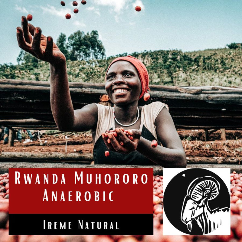 Rwanda Muhororo Anaerobic