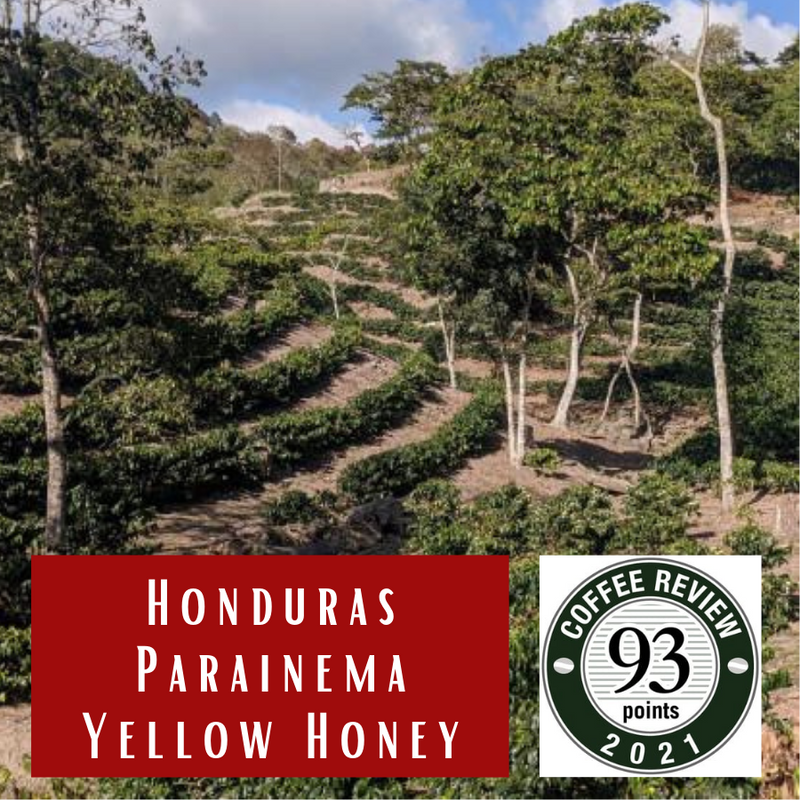 Honduras Finca Las Moras Parainema Yellow Honey