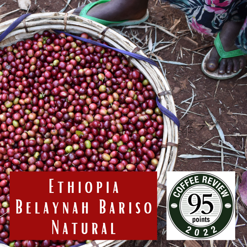 Ethiopia Belayneh Bariso Natural