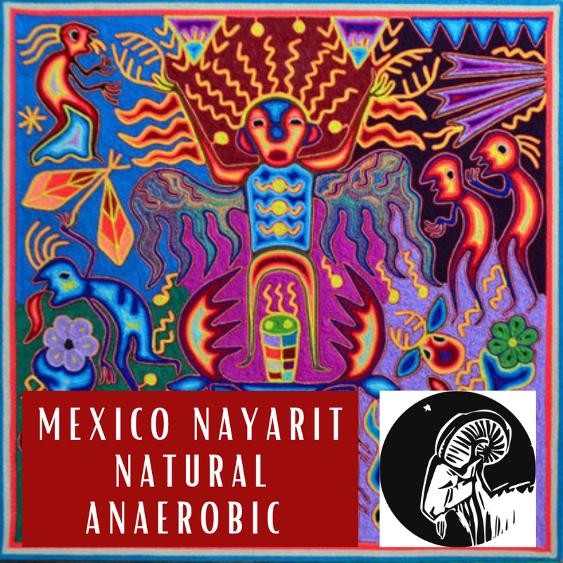 Mexico Nayarit Anaerobic Natural