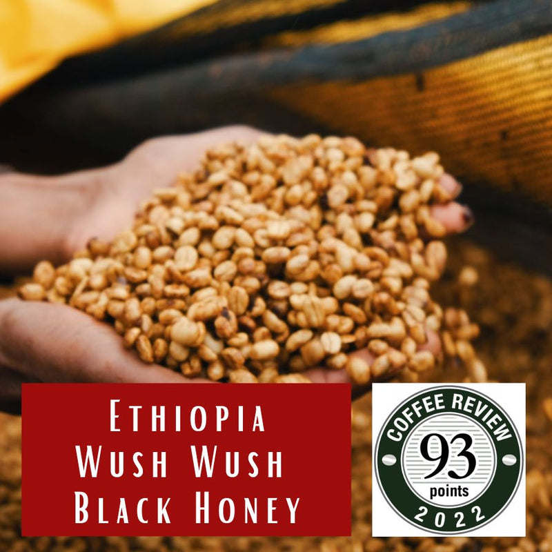 Ethiopia Wush Wush Black Honey Lot 2